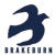 Brakeburn