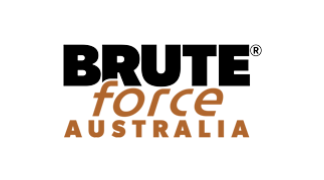 BRUTE FORCE