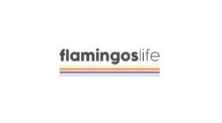 Flamingos' Life
