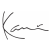 Karl Kani