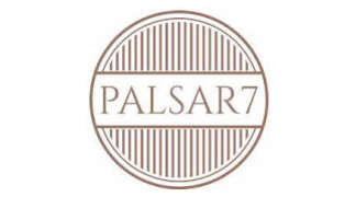 Palsar 7