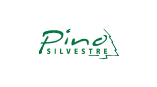 Pino Silvestre