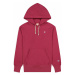 Champion Hooded Sweatshirt