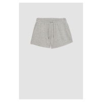 DEFACTO Regular Fit Normal Waist Short Basic Shorts