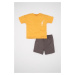 DEFACTO Baby Boy Printed Short Sleeve T-Shirt Shorts 2-Piece Set