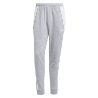 Kalhoty adidas Tiro 24 Sweat M IS2153