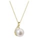 Evolution Group Luxusní zlatý náhrdelník s pravou perlou a brilianty 92PB00029