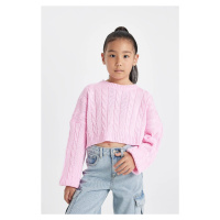 DEFACTO Girl Pink Crop Crew Neck Hair Knitted Acrylic Sweater