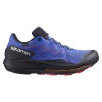 Salomon Pulsar Trail Gtx