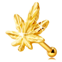 Piercing do nosu z 9K žlutého zlata - kontura marihuanového listu, drobné žilky