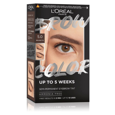 L’Oréal Paris Brow Color barva na obočí odstín 5.0 Brunette 1 ks