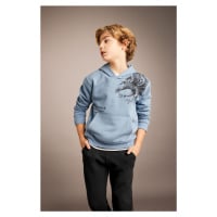 DEFACTO Boy's Printed Hooded Thick Sweatshirt