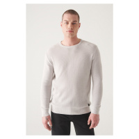 Avva Men's Light Gray Crew Neck Textured Cotton Standard Fit Regular Cut Knitwear Sweater