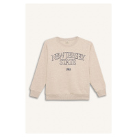 DEFACTO Boy Regular Fit Crew Neck Printed Sweatshirt