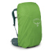 Osprey VIVA 45 succulent green