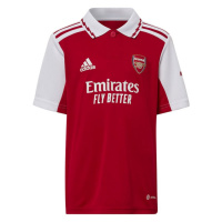 Dětské domácí polo tričko Arsenal Londýn HA5346 - Adidas