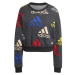 adidas BLUV SWEATSHIRT Dámská mikina, tmavě šedá, velikost