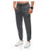 Edoti Men's sweatpants