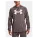 Mikina Under Armour UA Rival Terry Logo Hoodie M - hnědá