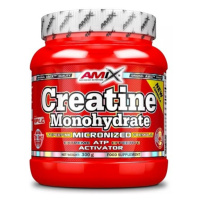 Amix Nutrition Amix Creatine Monohydrate 300 g