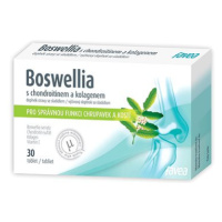 Favea Boswellia s kolagenem a chondroitinem, 30 tablet