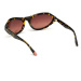 Sluneční brýle Web Eyewear WE0288-6052F - Dámské