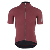 Q36.5 Pánský cyklistický dres Jersey ShortSleeve Pinstripe PRO