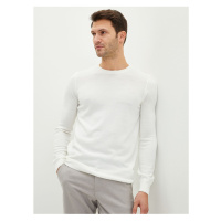 LC Waikiki Crew Neck Long Sleeve Thin Men's Knitwear Sweater