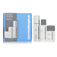 Dermalogica Dárková sada péče o pleť The Personalized Skin Care Set