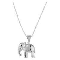 Beneto Stříbrný náhrdelník se slonem AGS1136/47 (řetízek, přívěsek)