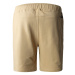 The North Face M Summer Logo Shorts