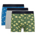 DEFACTO Regular Fit 3-pack Boxer