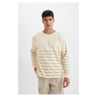 DEFACTO Comfort Fit Crew Neck Thick Fabric Sweatshirt