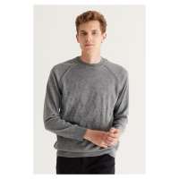 ALTINYILDIZ CLASSICS Men's Gray Standard Fit Normal Cut Crew Neck Jacquard Knitwear Sweater.