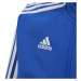 Dětský fotbalový dres Tiro 19 Training DT5274 - Adidas