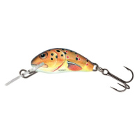 Salmo Wobler Hornet Sinking 2,5cm - Trout