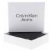 Calvin Klein Jeans K50K509863BDS Černá