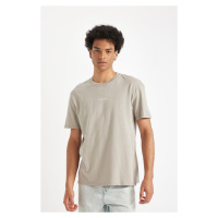 DEFACTO Regular Fit Crew Neck Printed Short Sleeve T-Shirt