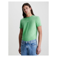 Calvin Klein pánské zelené tričko MICRO MONOLOGO