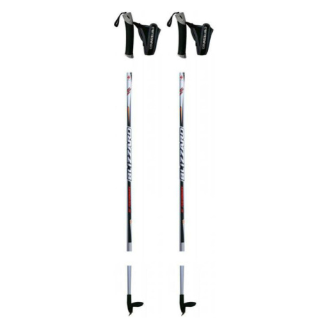 BLIZZARD-XC Performance senior cross-country poles, silver Šedá 120 cm 23/24