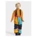 Dětské zimní zateplené kalhoty Didriksons D1913 IDRE Multicolor barevné