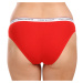 3PACK dámské kalhotky Tommy Hilfiger nadrozměr vícebarevné (UW0UW04895 0WR)