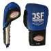 Boxerské rukavice se šněrováním DSF 10 oz 01DSF-02 - Masters