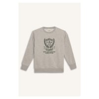 DEFACTO Boy Regular Fit Crew Neck Printed Soft Furry Inside Sweatshirt