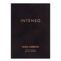 Dolce & Gabbana Pour Homme Intenso parfémovaná voda pro muže 125 ml