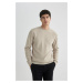 DEFACTO Standard Fit Crew Neck Sweater