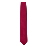 Tyto Saténová kravata TT901 Burgundy