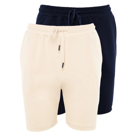 Trendyol Navy Blue-Stone Basic Regular/Normal Cut 2-Pack Shorts