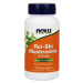 Rei-Shi Houby 270 mg - NOW Foods