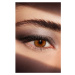Estée Lauder Pure Color Eyeshadow Quad paletka očních stínů odstín Grey Haze 6 g